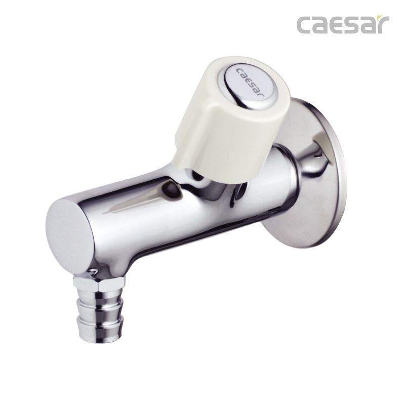 Vòi nước gắn tường Caesar WP075C